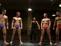 Tag team competition is what the wrestling company organized