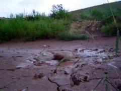 Erotic Mud Play