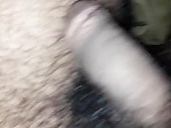 Penis