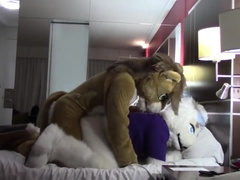 Lion & Bunny