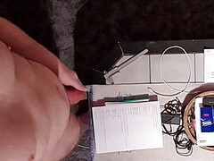 The top view of the little cock