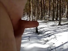 Dick Walking II