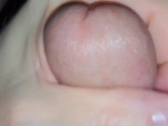 Close Up Morning Dinky