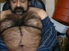 Big hairy bear and hairy body 2