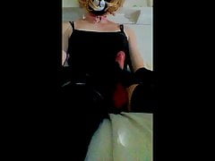 cd cumming in stockings and choker