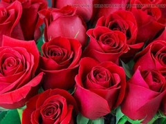 Big ass, bangladeshi, ai