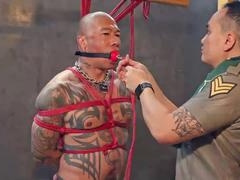 Jacked, jerk of, jerked off