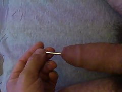 insertion sexe