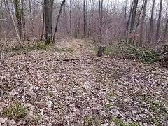 Found a stranger&rsquo;s Thong and String in the woods and covered them in my cum