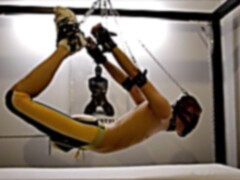 flying hog-tie
