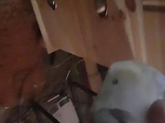 Slave my cock