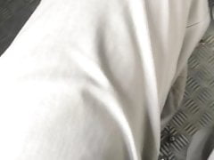 Culo