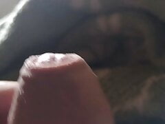 Sperm- Petrinja10