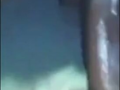 Black Bareback Amateur Takes Big Cock3333