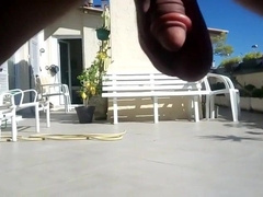 Huge balls hanging in the sun