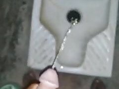 My Owner and Master's golden nectar