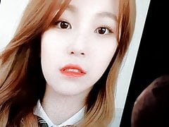 Fromis9 Jiheon Birthday cum tribute