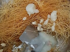 Gay sex: cum cooking fuck video