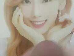 Taeyeon cumtribute