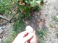 walking