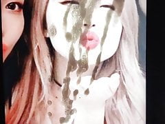 HAchubby Cum Tribute #3 - 14 ropes for korean streamer