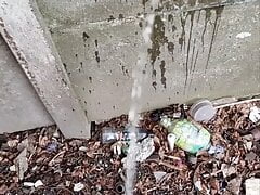 Pissing at the street