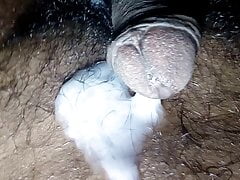 Sanjana fucking midnight cum