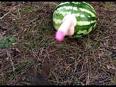 Fucking a WATERMELON with a dildo in the forest