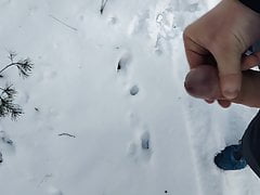 Forest Wank Snow Time