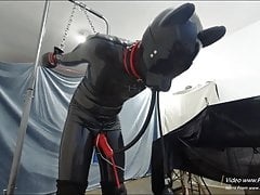 Rubber Pup Training