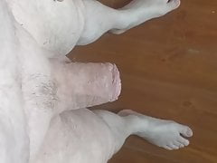 Penectomy
