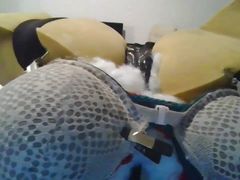Bra Game