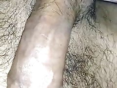 penis horny