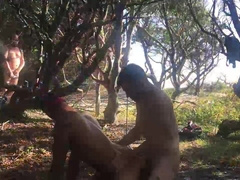 Breeding Bottom in Cruising Sphere