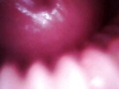 Creampie from the inside