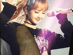 Blackpink Lisa cum tribute