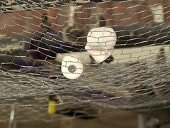 Obscene man luvs raunchy bondage & discipline