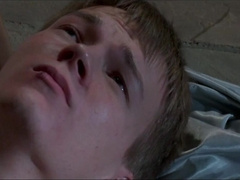 Witnessing Heaven Película Subtitulada En Español