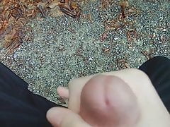 Jerking off in the woods