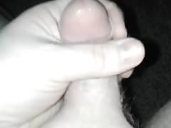 Small Cock, Illuminated