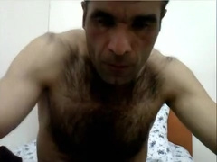 Arab bear