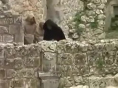 Horny xxx scene gay Old/Young great you've seen