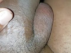 Eggplant cock