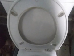 Ejaculation in a Public Wc.