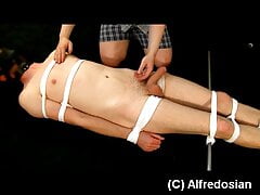Dominoez #3: Slapped & Electrified Cock and Balls