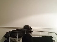 Zentai
