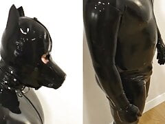 Rubber puppy dreams to cum