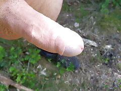 My Cock in the Forest