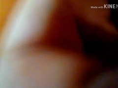 Chubby Getting Breed