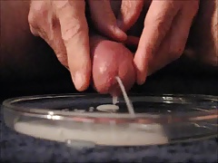 Dish Cum